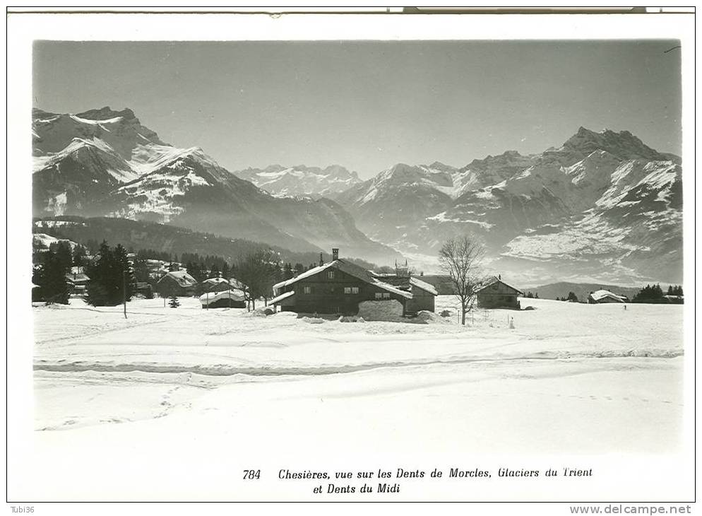 CHESIERES -DENTS DE MORCLES, GLACIERS DU TRIENT, DENTD DU MIDI. B/N - VìIAGGIATA 1959. - Morcles