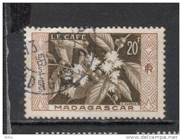 331  OBl   MADAGASCAR (colonies) "le Café" - Gebraucht