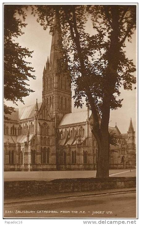 GB - Wil - Salisbury Cathedral From The N. E. - Judges Ltd - (not Circulated / Non Circulée) - Salisbury