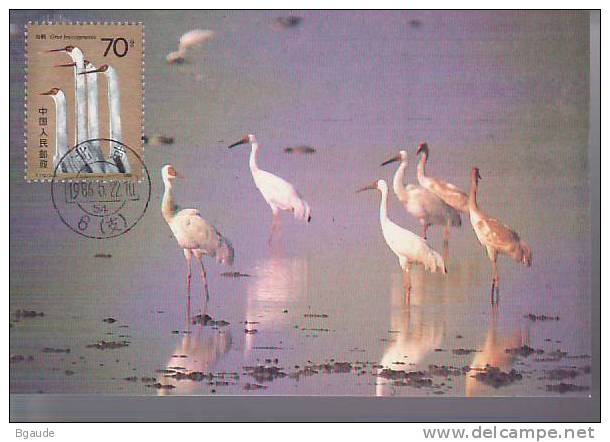 CHINE CARTE MAXIMUM NUM.YVERT 2789 FAUNE OISEAUX LA GRUE BLANCHE - Tarjetas – Máxima