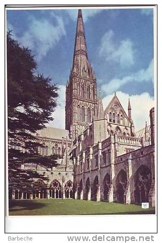 THE CLOISTERS , SALISBURY  .- - Salisbury