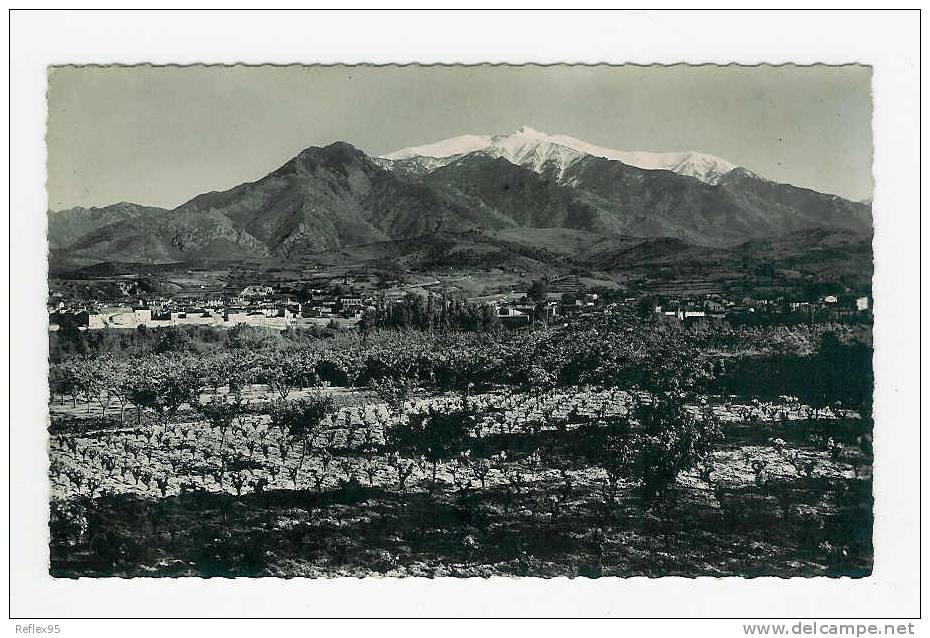 PRADES - Vue Générale - Prades