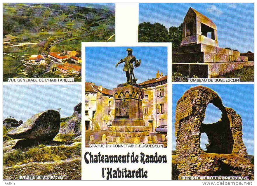 Carte Postale 48. Chateauneuf-de-Randon  L'Haitarelle Trés Beau Plan - Chateauneuf De Randon