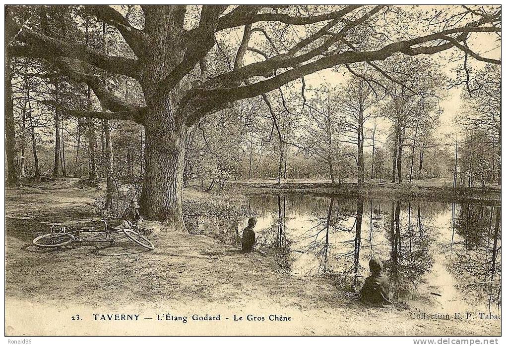 CP 95 TAVERNY L´étang Godard Le Gros Chène (pêcheurs,bicyclette) - Taverny
