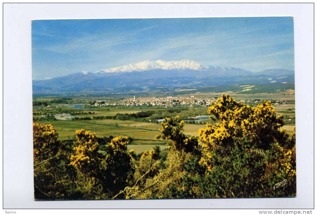 66 - Le Vallespir : Le Boulou En Roussillon - Roussillon