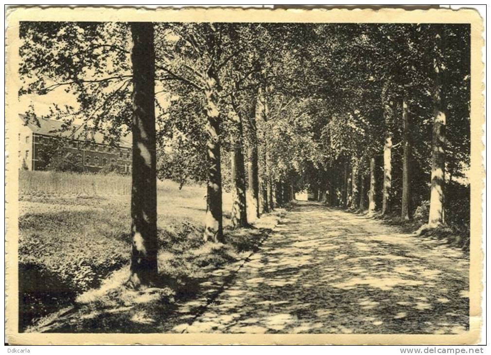 Beirlegem - Kostschool Der Zusters Van Liefde - Dreef - Zwalm