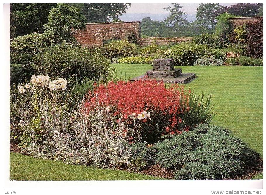 The WALLED  Garden - Surrey