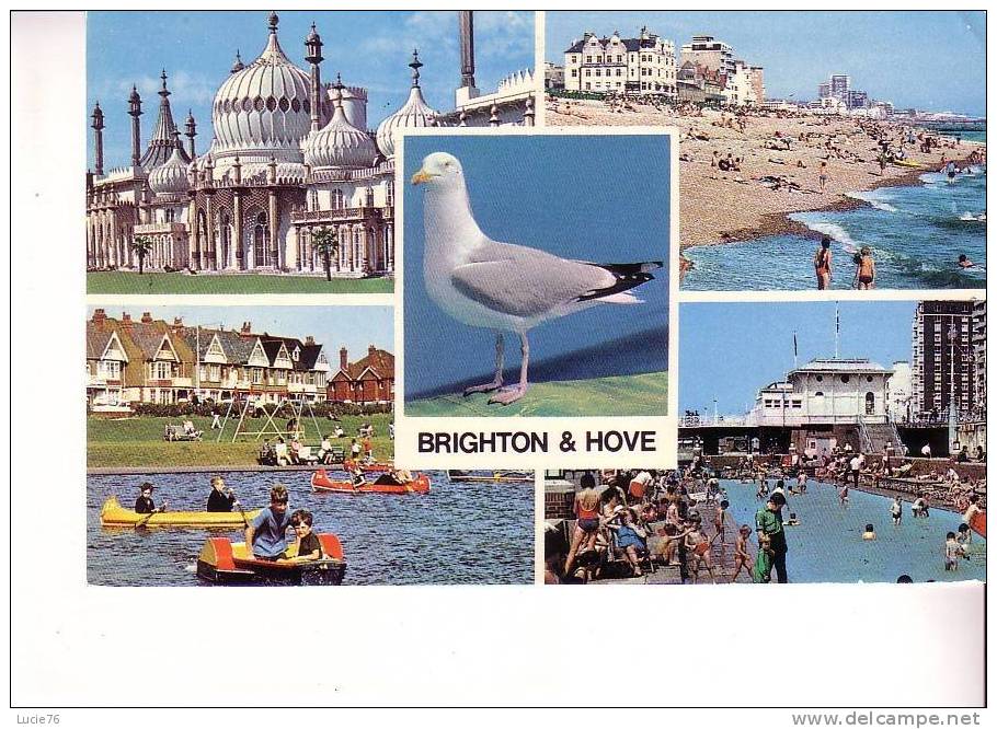 BRIGHTON - Royal Pavillon  The Beach - Fagoon Boating Lake - Paddling Pool -  5 Vues -  N°  PLC 3700 - Brighton