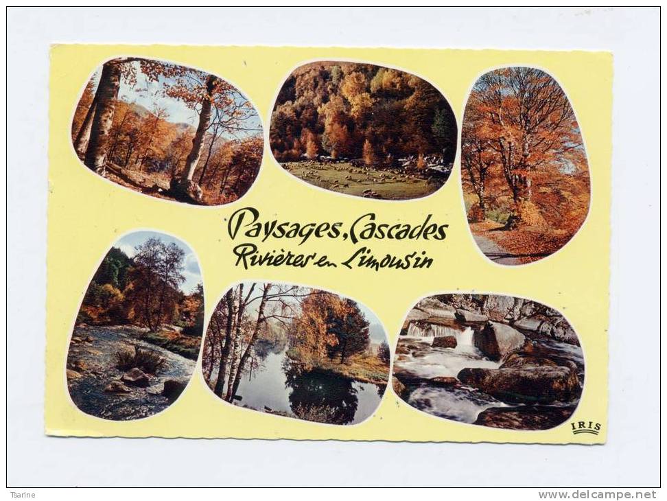 19 - Lot De 3 Cartes : Paysage Du Limousin - Limousin