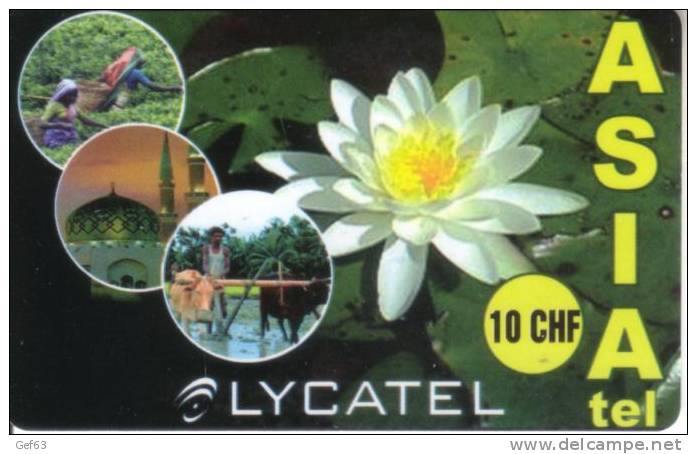 Prepaid Card Lycatel ° Asia Tel. - Nénuphar / Seerosen - Suisse