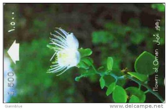 Fleur/Flower - Oman Phnecard - Blumen