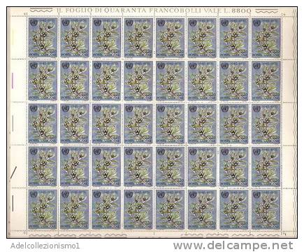 46)SERIE NAZIONE UNITE DEL 1970 IN FOGLI INTERI NUOVI DEL VATICANO - Used Stamps