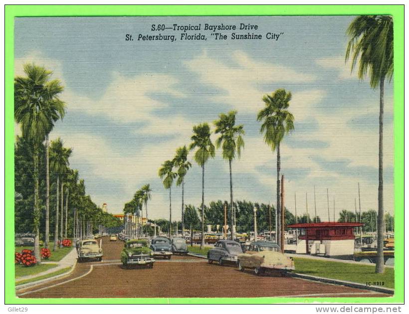 ST. PETERSBURG, FL - TROPICAL BAYSHORE DRIVE - ANIMATED OLD CARS - - St Petersburg