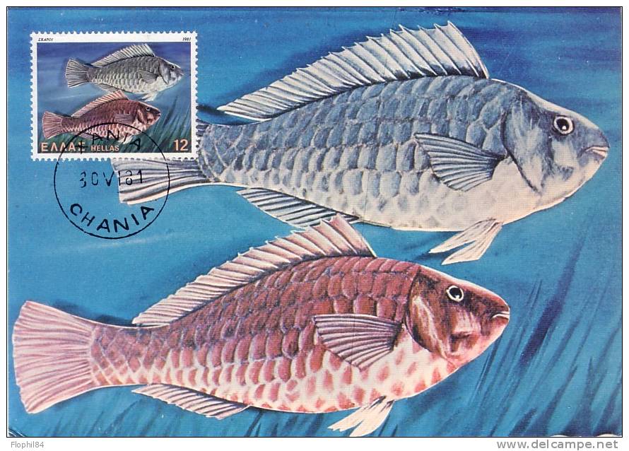 GRECE-POISSONS CARTE MAXIMUM 30-6-1981 - Maximumkarten (MC)