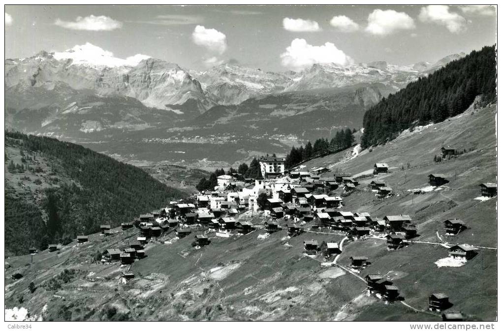 SUISSE SAINT LUC ANNIVIERS Wildhorn (Kloptenstein Adelboden) - Adelboden