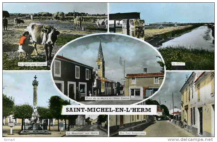 B - 85 - SAINT MICHEL En L´HERM - La Traite Des Vaches - Saint Michel En L'Herm