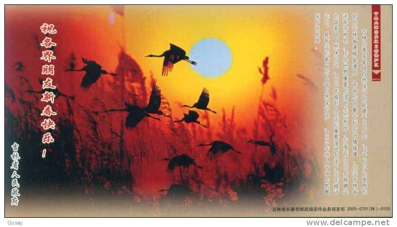 Bird Crane Grue   , Pre-stamped Card , Postal Stationery - Kranichvögel