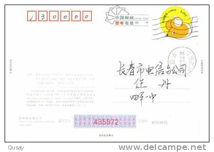 Basketball Stadium School  , Pre-stamped Card , Postal Stationery - Basket-ball