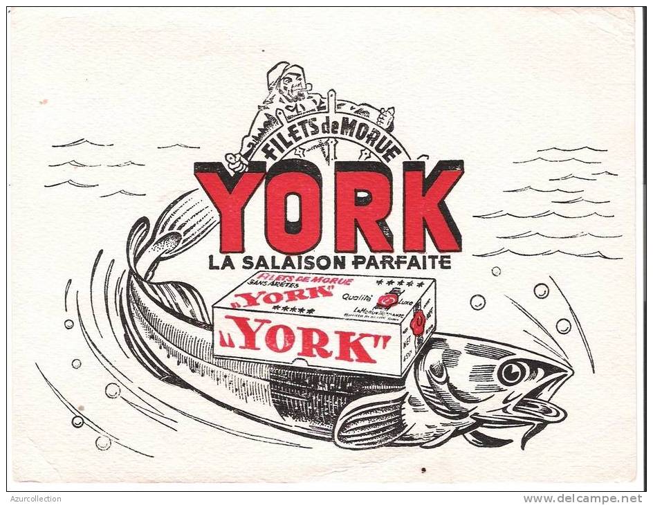 YORK - Y