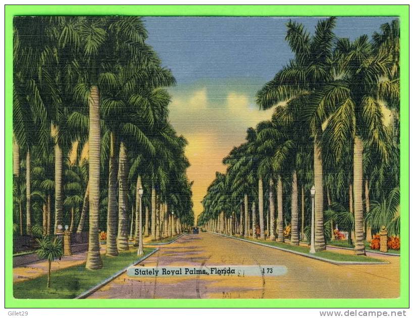 MIAMI, FL - STATELY ROYAL PALMS - TRAVEL IN 1968 - - Miami