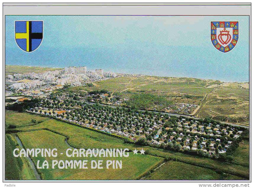 Carte Postale 85. Saint-Hilaire-de-Riez  Camping "La Pomme De Pin" Vue D´avion  Trés Beau Plan - Saint Hilaire De Riez