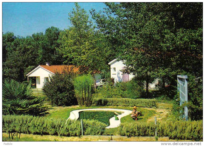 Carte Postale 85. Saint-Hilaire-de-Riez  "Les Biches" Camping  Trés Beau Plan - Saint Hilaire De Riez