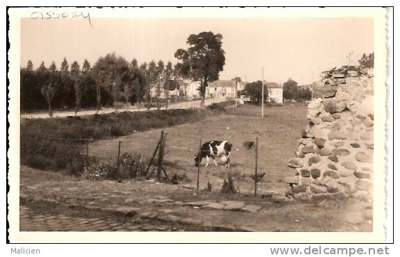 SEINE ET MARNE-ref No 77242- Photo Format Carte Postale - Oissery  - Bon Etat - Autres & Non Classés