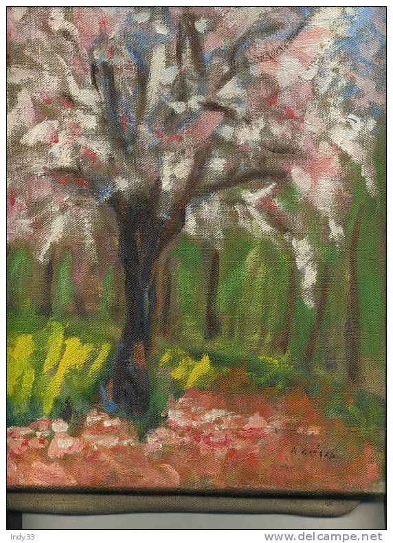 - ARBRES FRUITIERS EN FLEURS . HUILE SUR TOILE SIGNEE - Oils