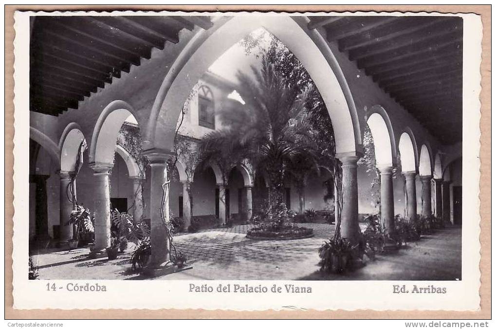 ANDALOUCIA CORDOBA Circa 1950 PATIO PALACIO VIANA ARRIBAS N°14 / SPAIN ESPANA SPANIEN ESPANHA SPANJE SPAGNA /2479A - Córdoba