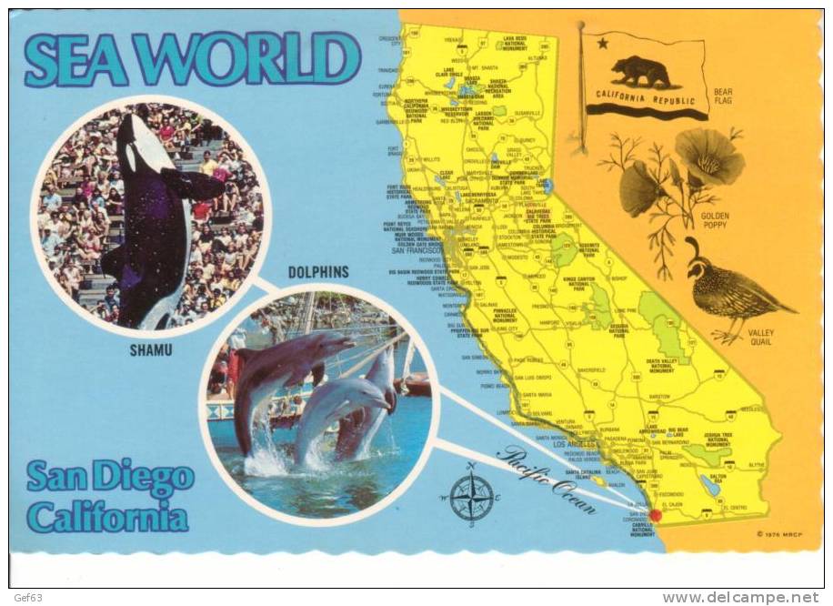 San Diego  - Sea World The World's Finest Ocean Arium (1980) ° Carte / Map ° - San Diego