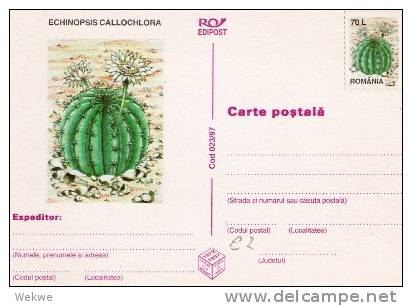 Rum013a/ RUMÄNIEN - GA-Karte 1997 Mit Kaktus, Markeneindruck/Illustration(cactus(cacto) - Brieven En Documenten