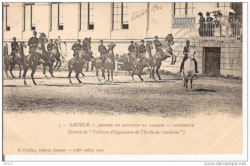 CPA SAUMUR CHEVAUX EQUITATION  Reprise Des Sauteurs En Liberté COURBETTE (5) - Hippisme