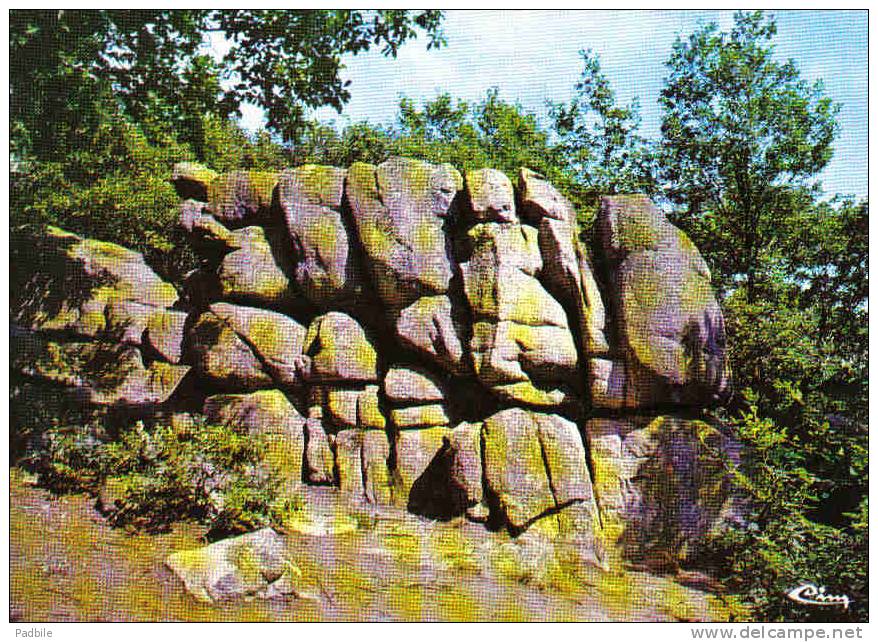 Carte Postale 89. Quarré-les-Tombes  La Roche Des Fées   Trés Beau Plan - Quarre Les Tombes