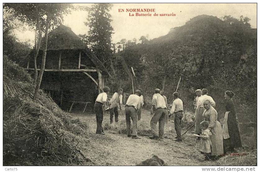 NORMANDIE 14 - La Batterie De Sarrazin - Agriculture - Récolte - Série En Normandie - Métier - Autres & Non Classés