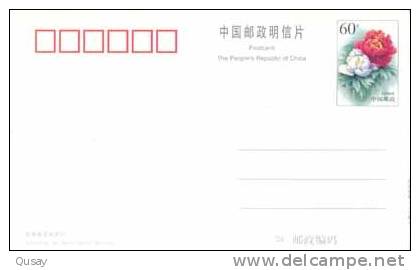 Cycling Tricycle Disable Person   , Pre-stamped Card , Postal Stationery - Vélo