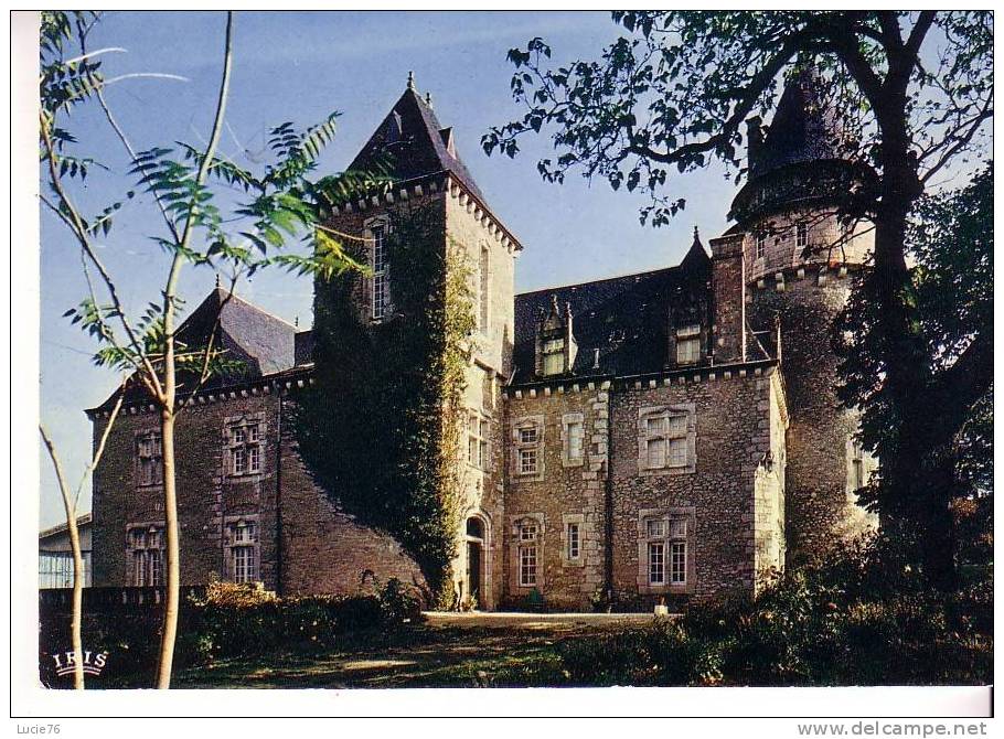 GRAMAT -   Château De ROUMEGOUSE Style Du XVème Siècle -  N°  46 217 - Gramat