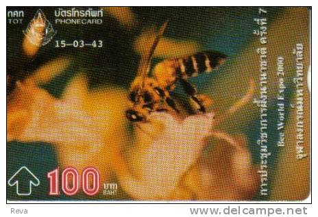 THAILAND  100 BAHT   BEE  INSECT  INSECTS   L & G  READ DESCRIPTION !! - Thaïlande