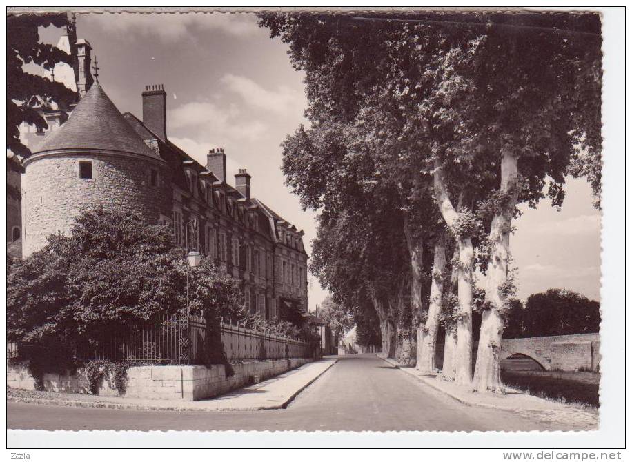 45.295/ BEAUGENCY - Le Quai De L'abbaye - Cpsm - Beaugency
