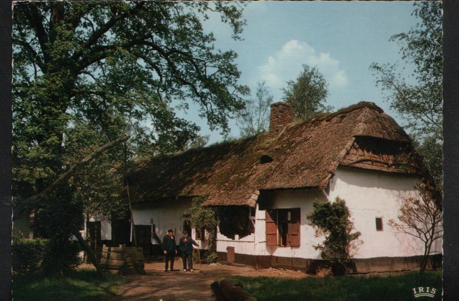 Bokrijk - Genk