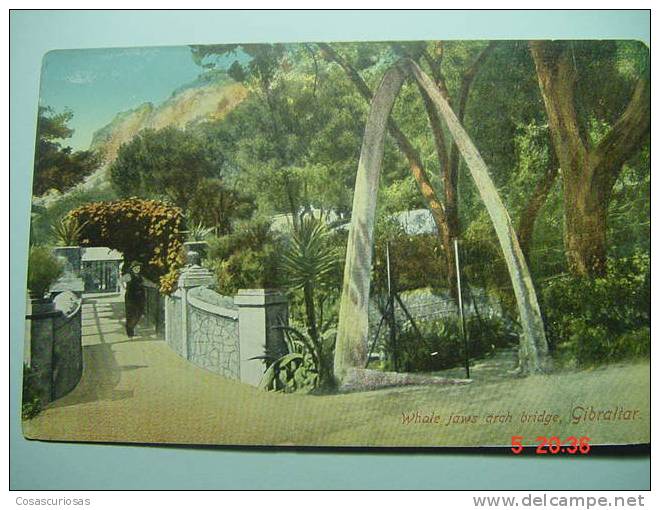 5033 GIBRALTAR  WHALE JAWS ARCH BRIDGE -  AÑOS / YEARS / ANNI 1910 - Gibraltar