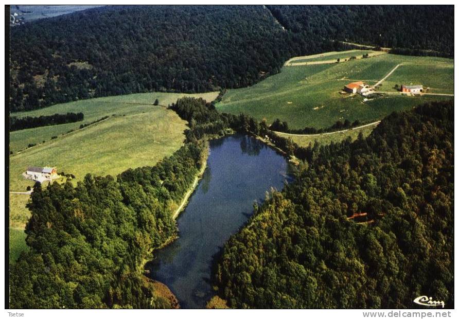 Rance - Vue Aérienne De L'étang D'Ostenne - Sivry-Rance