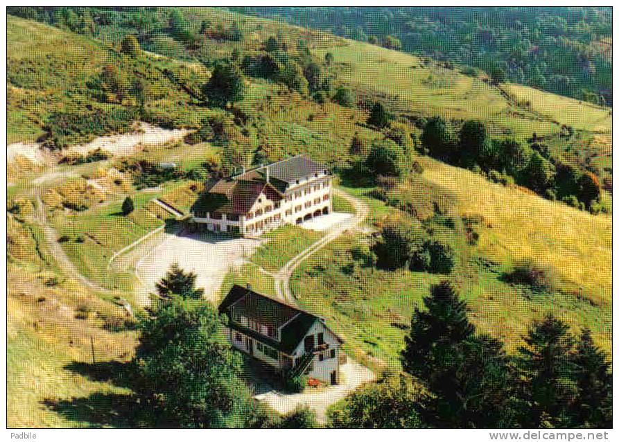 Carte Postale 88.  Fresse-sur-Moselle  "La Colline"    Trés Beau Plan - Fresse Sur Moselle