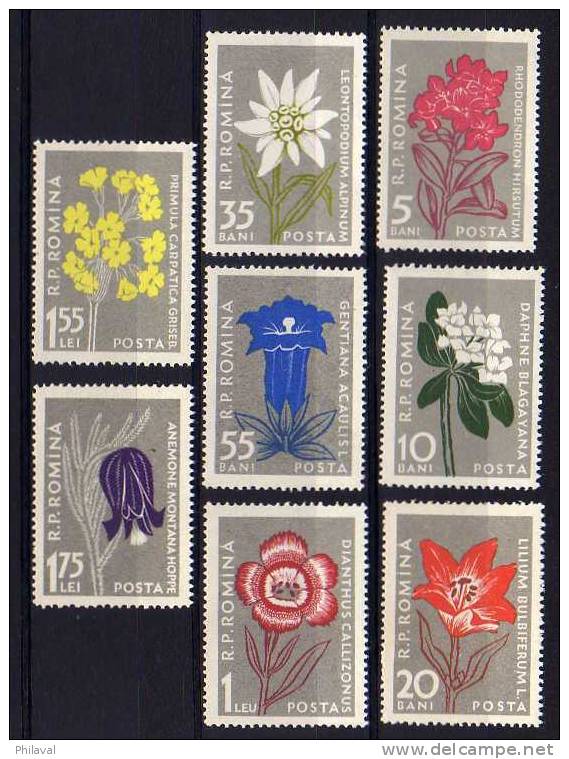 Timbres * Sur Les Fleurs - ROMINA - Other & Unclassified