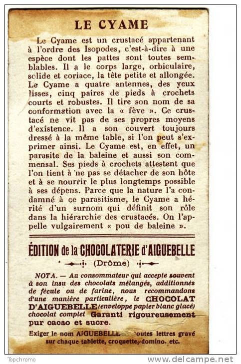 CHROMO Didactique Aiguebelle Les  Crustacés Le Cyame Ou Pou De Baleine - Aiguebelle