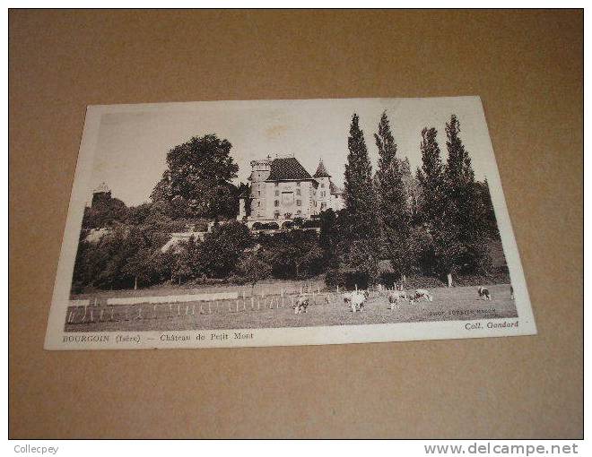 CPA BOURGOIN Chateau De Petit Mont - Bourgoin