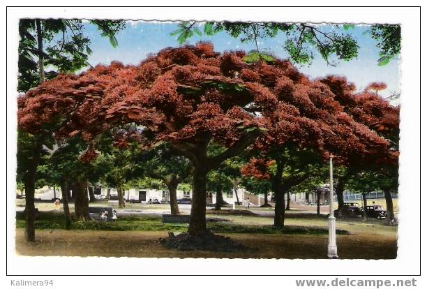 OCEANIE  /  NOUVELLE - CALEDONIE  / NOUMEA / " LES  FLAMBOYANTS " ( + CITROËN  ) /  MAGASIN  " MARIE  CLAUDE " , Nouméa - Nouvelle Calédonie