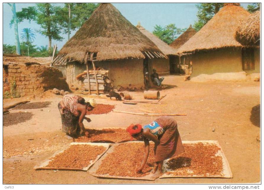 Afrique En Couleurs - La Vie Au Village - Sénégal (1980) - Senegal