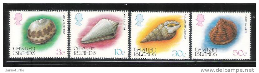 Cayman Islands 1984 Sea Shell MNH - Kaimaninseln