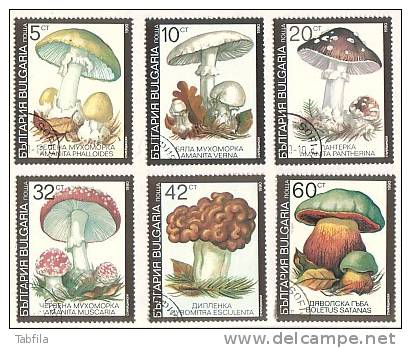 BULGARIE - 1991 - Champignons Veneneux - 6v - Obl. - Paddestoelen