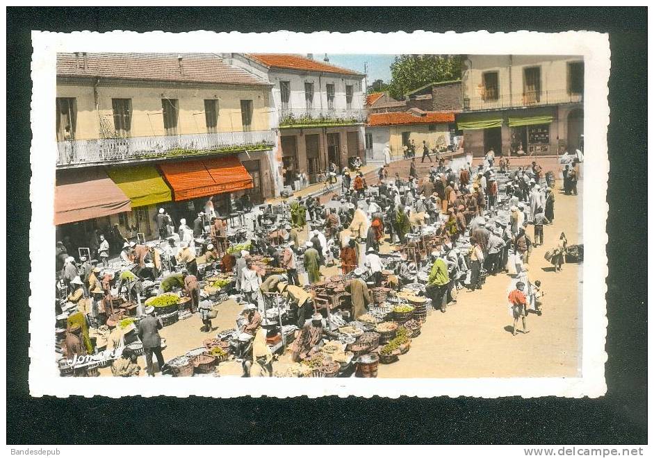 CPSM - Algérie - Médéa - La Place Du Marché (  Animée JOMONE 28 Format CPA) - Medea